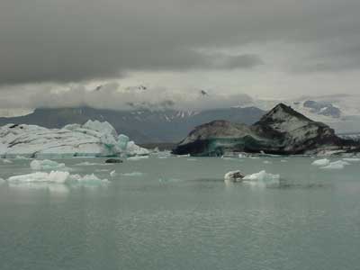 variety in icebergs