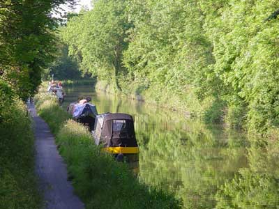 Canal at Limpley Stoke