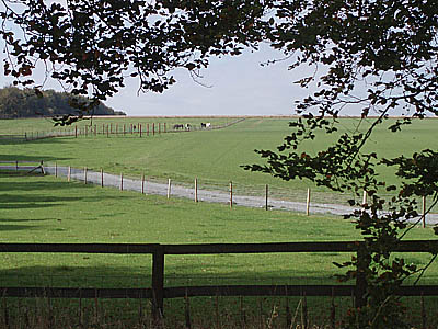 Salisbury Plain, near Druid's Lodge
