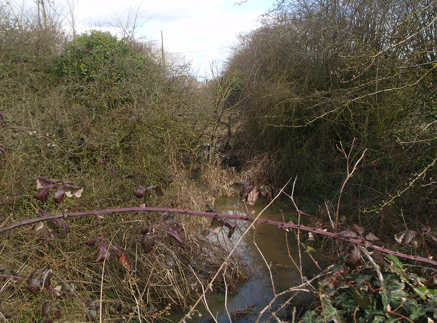 Old Wilts and Berks canal just north of Semington